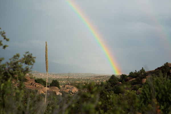 rainbow end